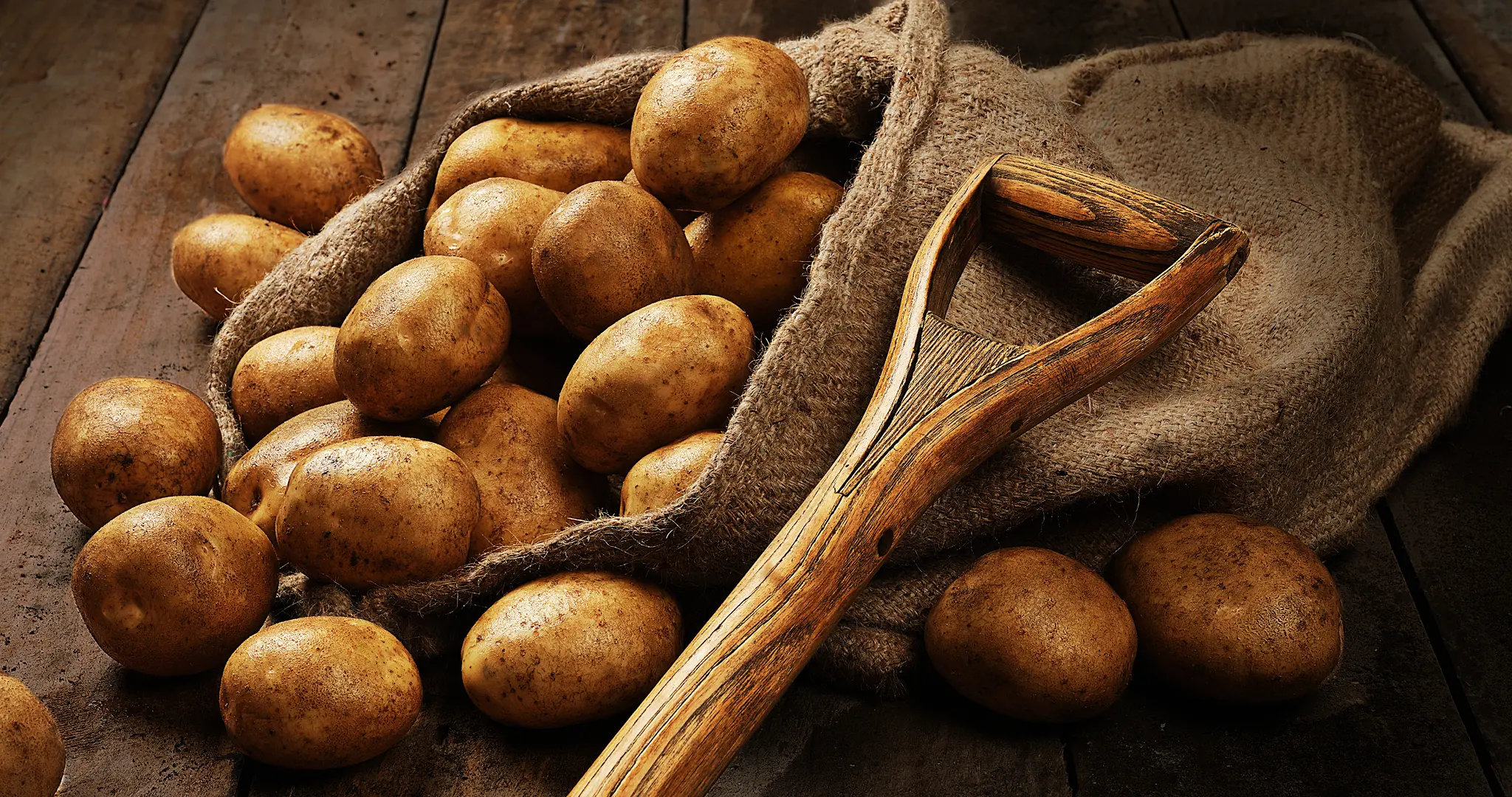 Heartland Potato Chips